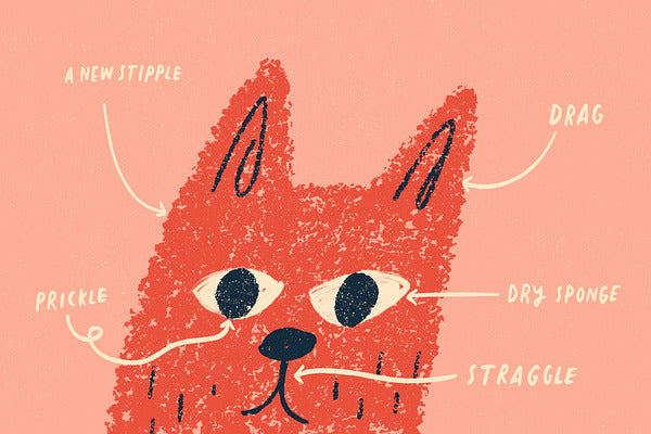 The Procreate Hand Lettering Toolkit
